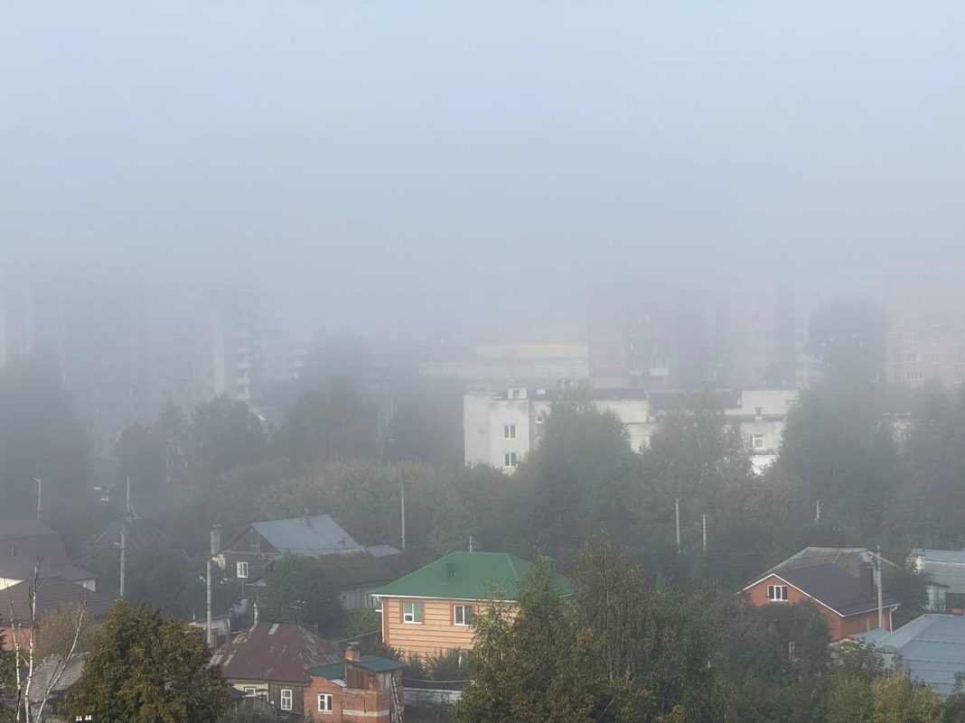 День Мамонта-овчарника 15 сентября: что надо делать, дабы беды обошли стороной0